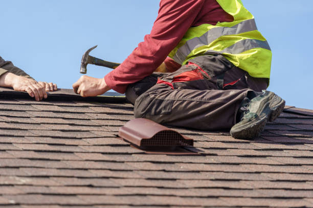 Best Shingle Roofing Installation  in Talluh, LA