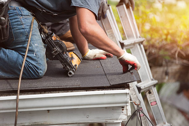 Best Storm Damage Roof Repair  in Talluh, LA