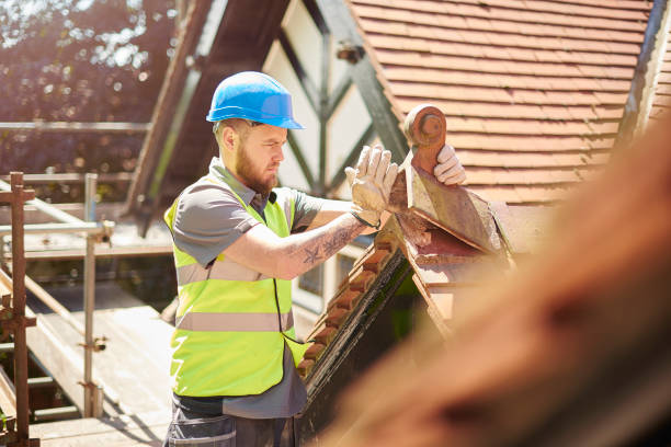 Roof Gutter Cleaning in Tallulah, LA